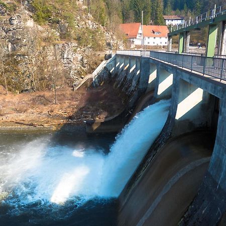 Ferienhaus Nr 11A2, Feriendorf Hagbuegerl, Bayr Wald Waldmünchen المظهر الخارجي الصورة