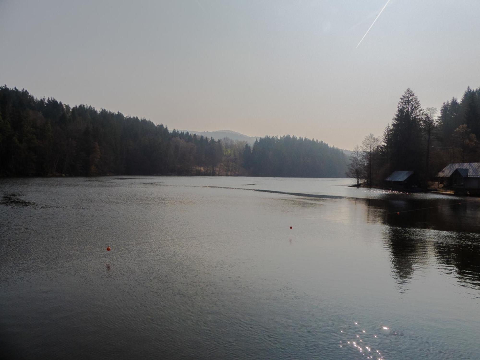 Ferienhaus Nr 11A2, Feriendorf Hagbuegerl, Bayr Wald Waldmünchen المظهر الخارجي الصورة